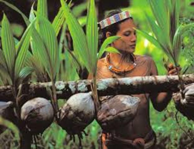 Reivindicación de la visión de las culturas tradicionales