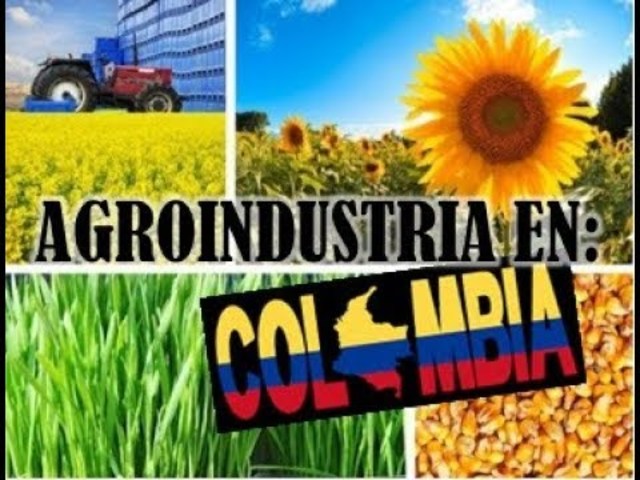 surgió la agroindustria