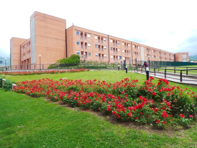 UNIVERSIDAD DE SALERNO