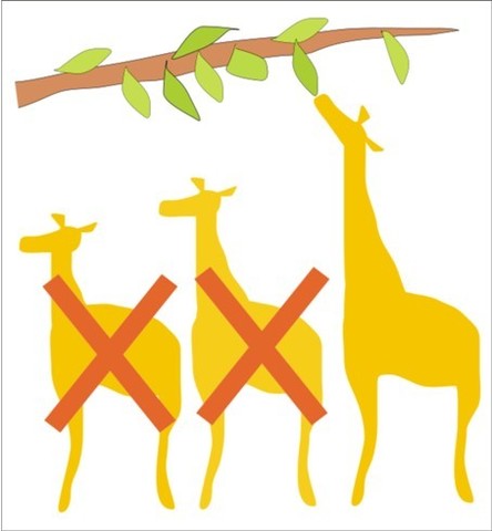 Charles Darwin Conceives The Theory of Natural Selection