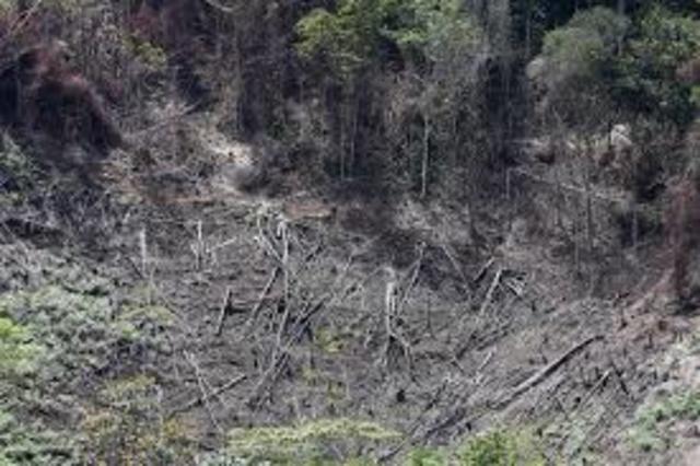 Parques nacionales de Colombia amenazados