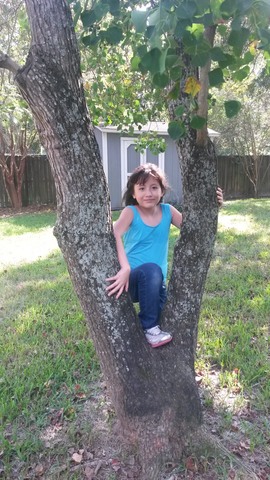 Ens anem a Estats Units