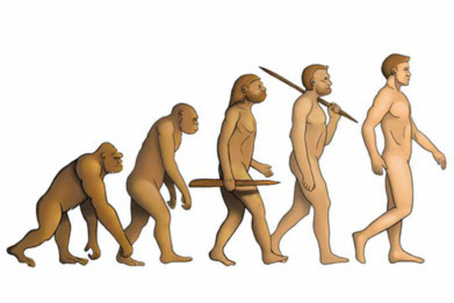 Los primates 65 millones de años a.C.