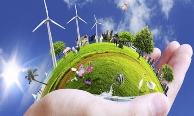 Sostenibilidad ambiental del capital natural