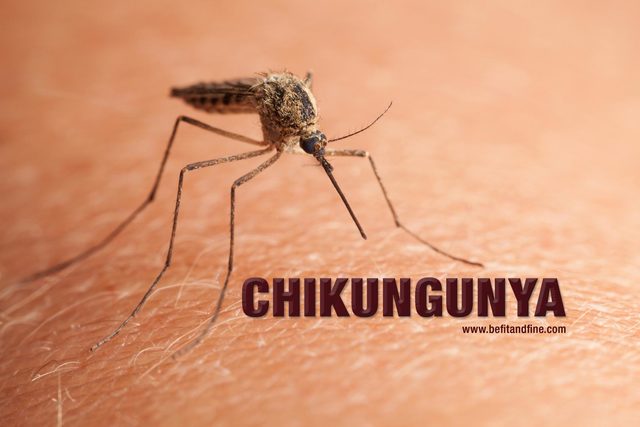 2014- Chikungunya