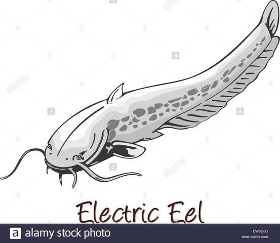 Primer contacto registrado con la electricidad