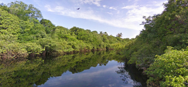 Sostenibilidad Ambiental del Capital Natural