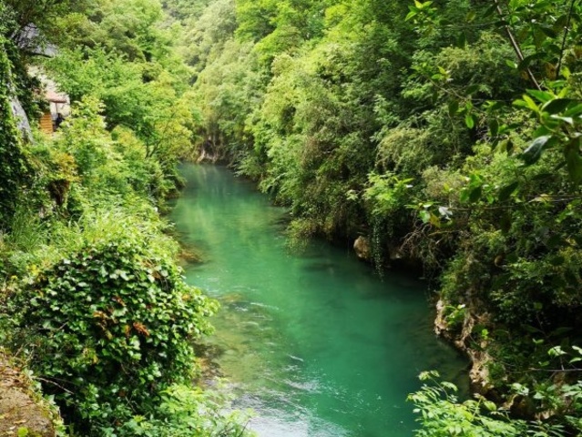 Sostenibilidad Ambiental del Capital Natural