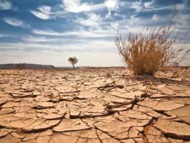 Surge la Agro Industria