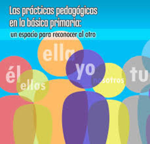 Práctica Pedagógica