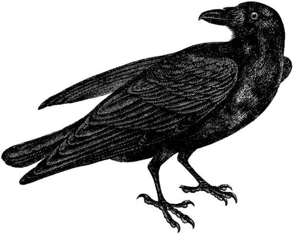 Hempel's Raven Paradox