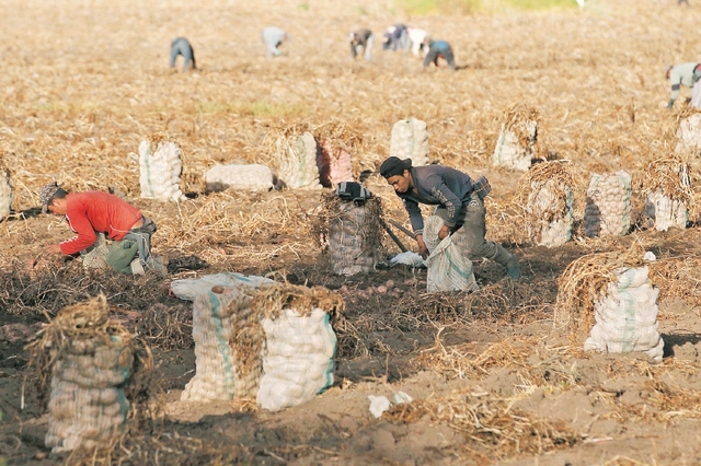 Surgimiento de la agro Industria en Colombia