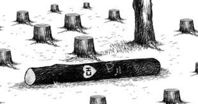 Aumento de la minería ilegal y agroindustria.