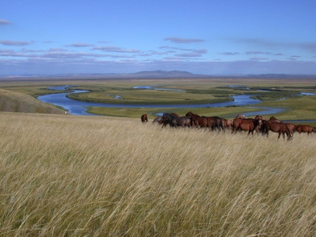 Another Russian explorer, Maksim Perfilyev, discovered Dauria