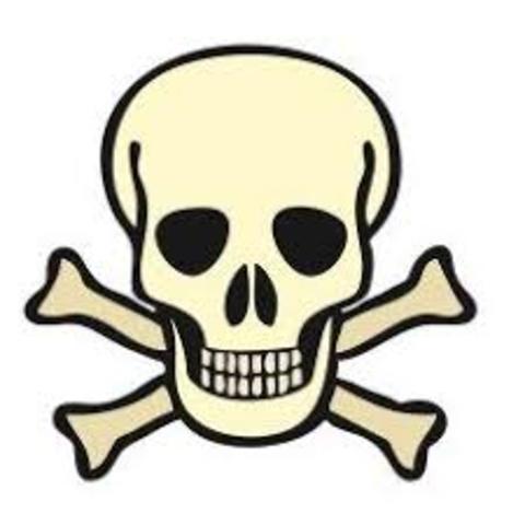 Fallecimiento de su padre