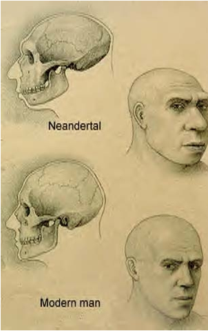 Neanderthal