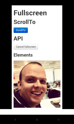 API de pantalla completa