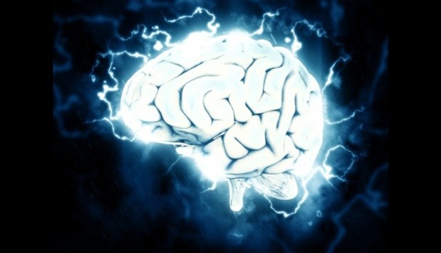 •	¿Cuándo se hizo complejo el cerebro y en qué organismo?