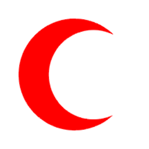 Conventions Relative to Prisoners of War Treatment Adopted