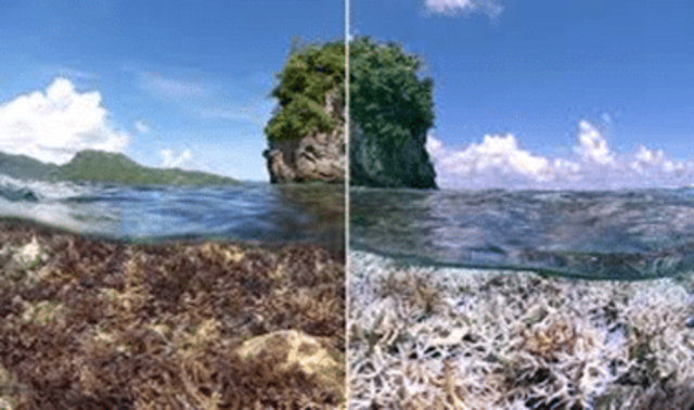 1951-2000 Segunda mitad del siglo XX