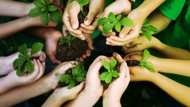 2002 - Johannesburgo