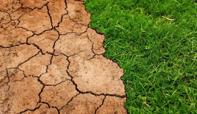 2009 - Cumbre de Copenhague