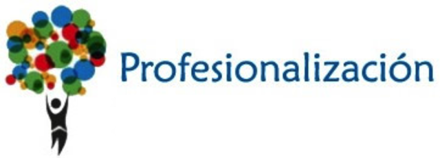 Época de la profesionalización