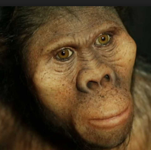 El surgimiento de los homínidos y de las características únicas de su cerebro.