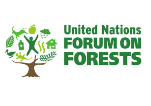 Foro de las Naciones Unidas sobre bosques