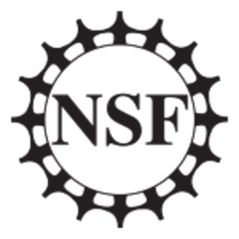 INTERNET Y EL NACIMIENTO DEL E-COMMERCE