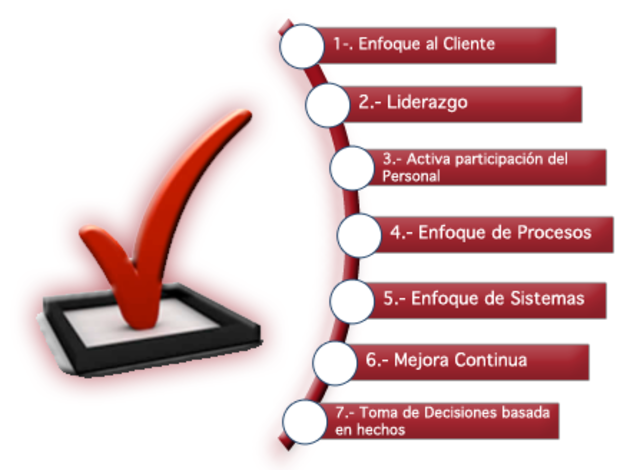 Enfoques Básicos de la Calidad