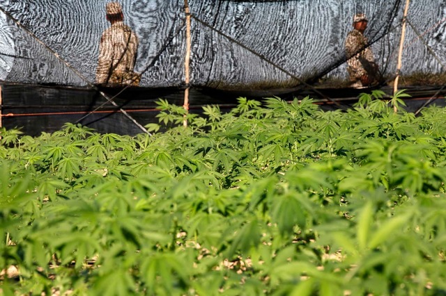El ejercito toma el poder del rancho "el bufalo"