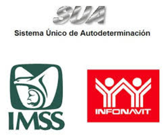 Dentro del (SUA) queda establecida la infraestructura academica