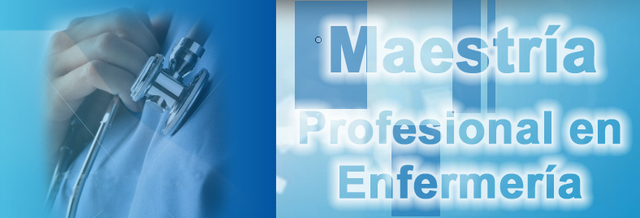 Plan de Estudios del Programa de Maestria en Enfermeria