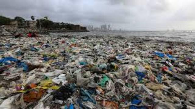 INFORME DE COMISIÓN NACIONAL