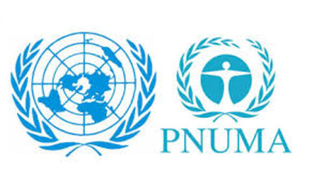 PNUMA