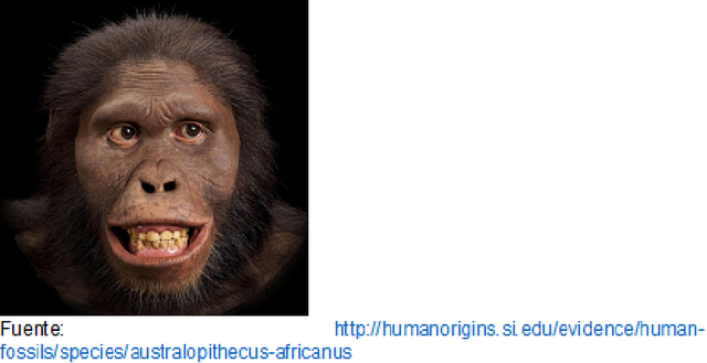 5 millones de años. Australopithecus.