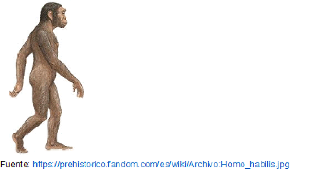 2 millones de años. Homo Habilis.