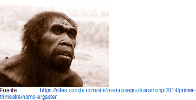 1.2 millones de años. Homo Ergaster.