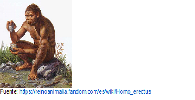 1 millón de años. Homo erectus.