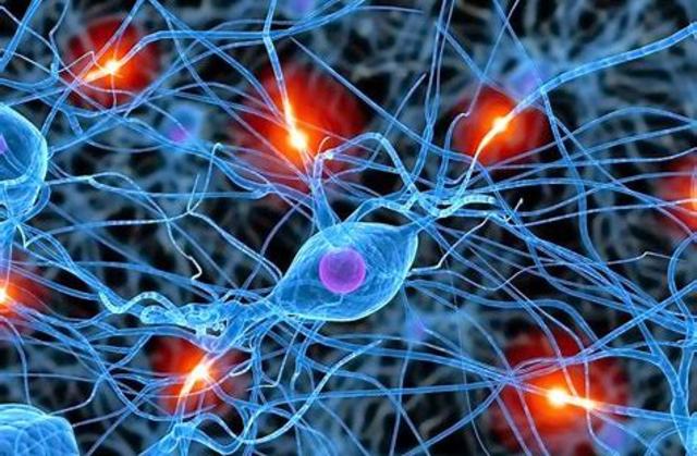 primera comunicación eléctrica entre las células