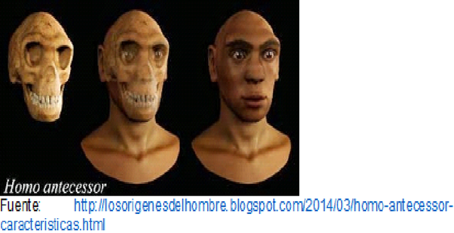 800.000 años. Homo Antecessor.