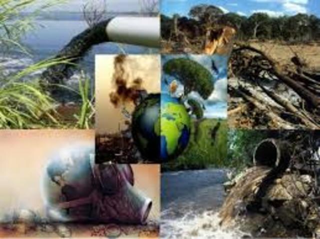 Producción y consumo sostenible