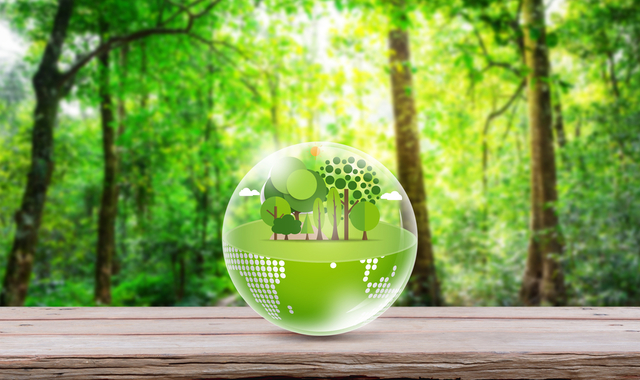 La competitividad empresarial