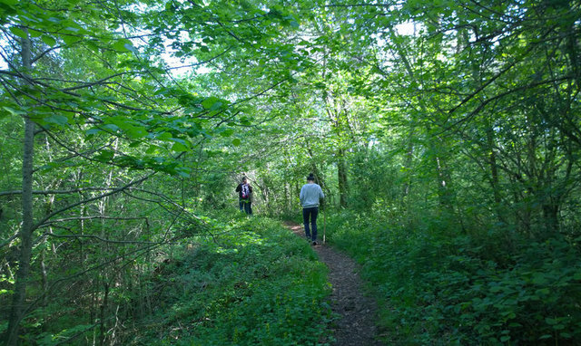 Per sort uns republicans que fugen, els salven.