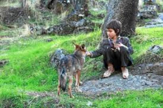 Durant bastants dies la maria els persegueix. I no és del tot ben acceptada per la llopada.