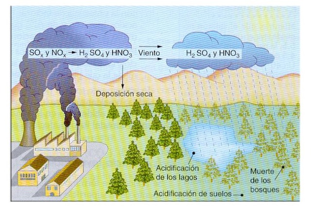 surgimiento de la agro industria