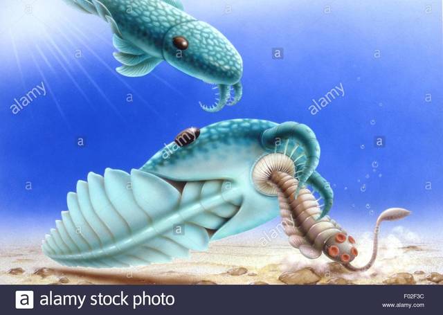 Cambrian 541-485 MYA
