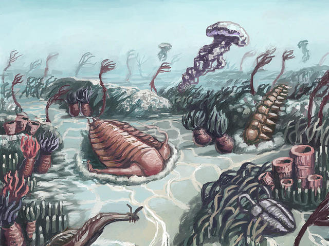 Cambrian Period
