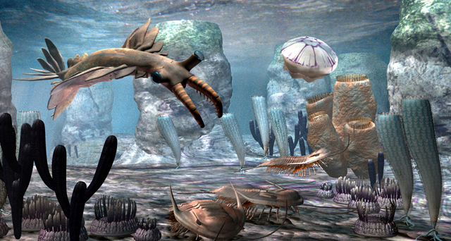 Cambrian Period- 570 - 500 MYA